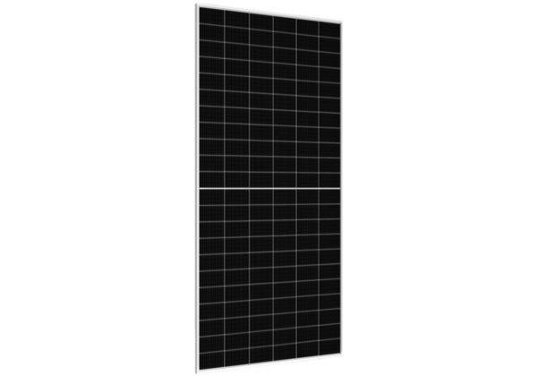 高效双面双玻组件RSM132-11-605-630BNDG